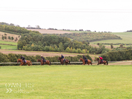 AK300921-48 - Alan King Stable Visit